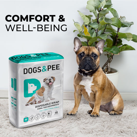DIAPERS FOR MALE M