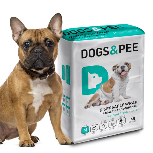 DIAPERS FOR MALE M